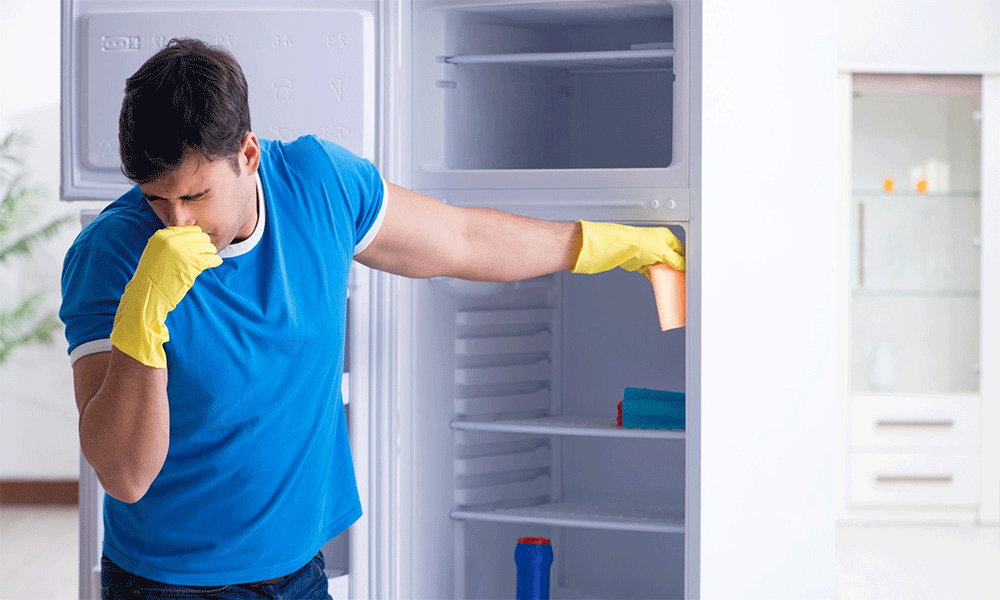 نحوه صحیح تمیز کردن یخچال+ آموزش